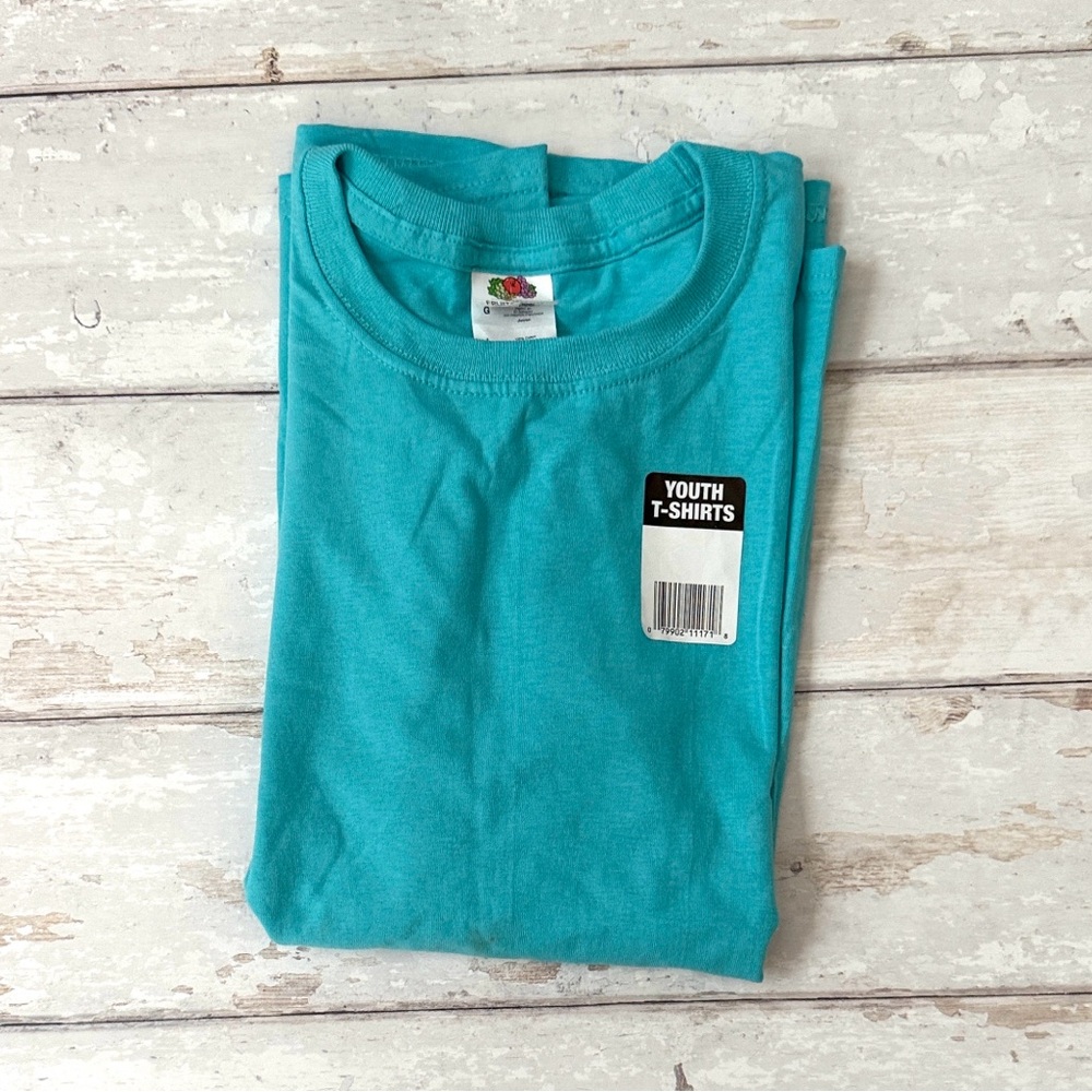 Youth L/G Fruit of the Loom Teal Blue Aqua Color Short Sleeve Short Size Large